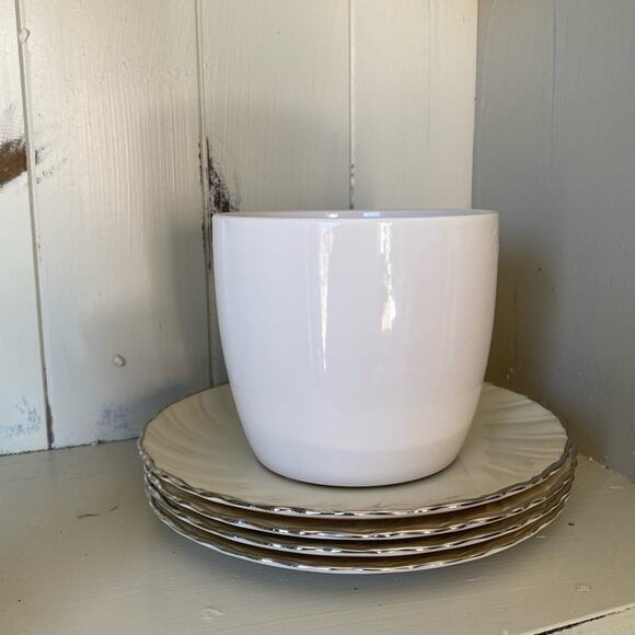 TRADER JOE’S • White Plant Vase Planter - Picture 2 of 5